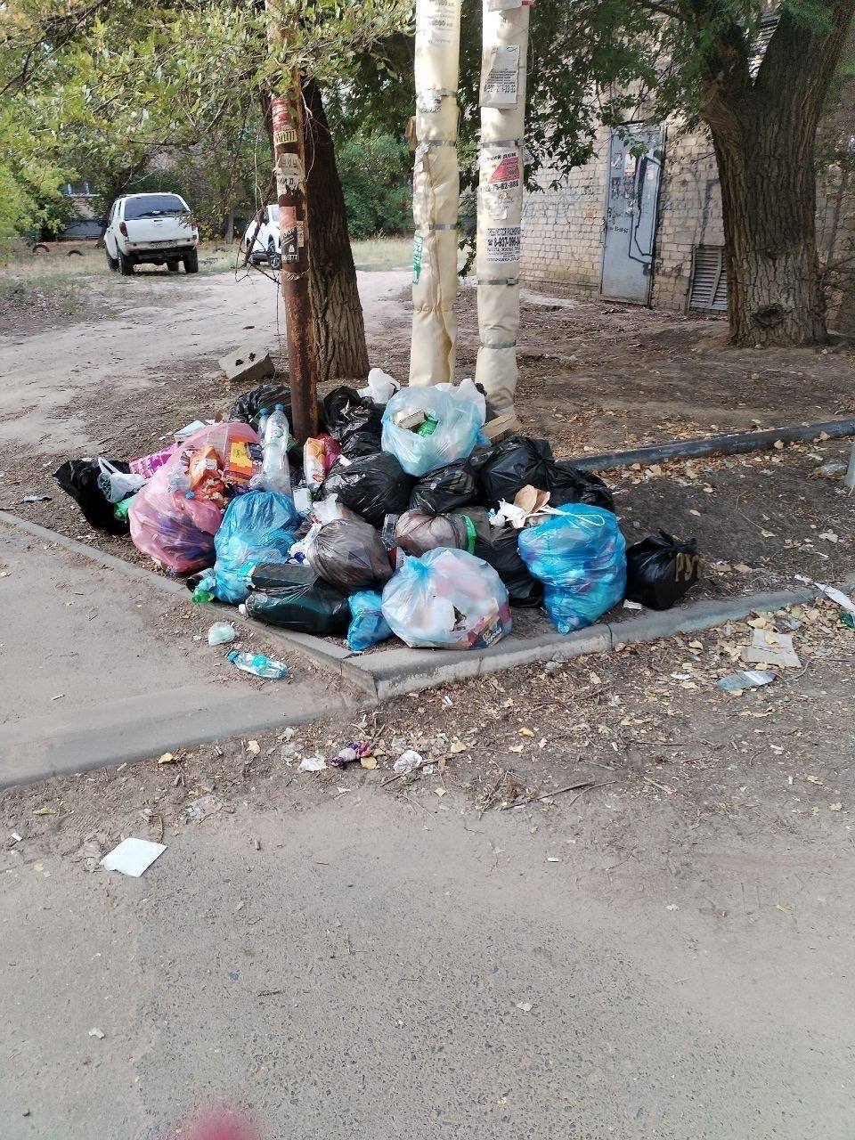 photo_24176