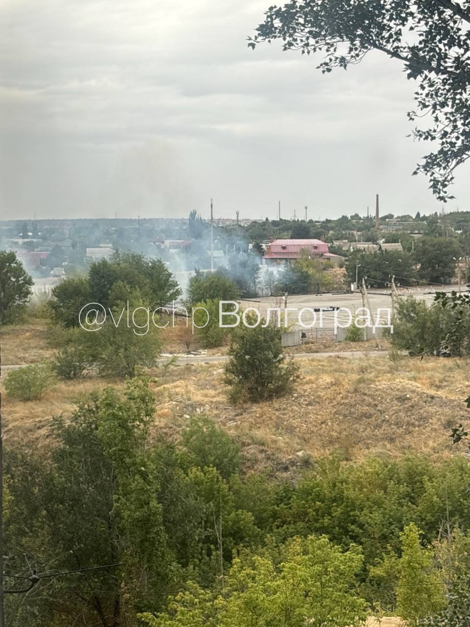 photo_24245