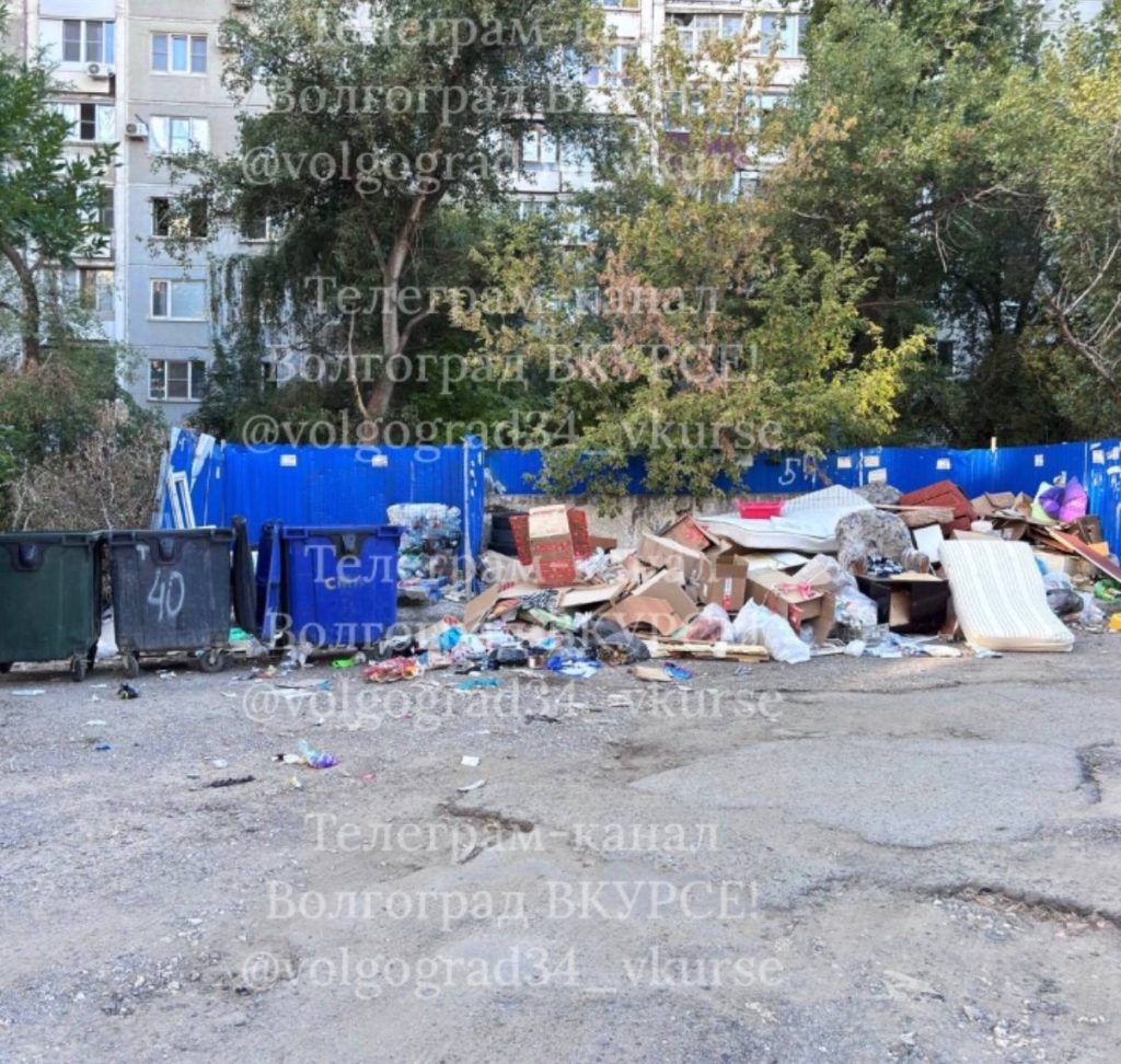 photo_24480