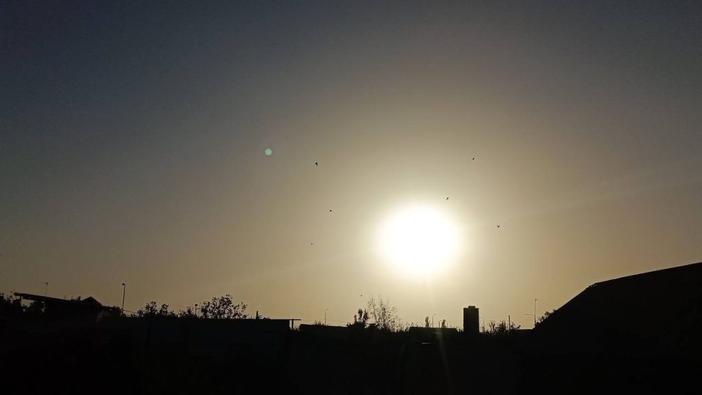 photo_24888